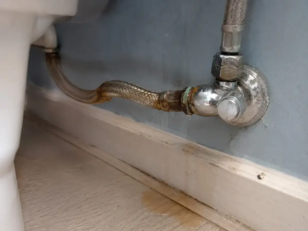 Twisted and corroded flexible hose leaking beside a toilet